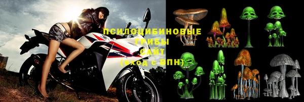 тгк Балахна