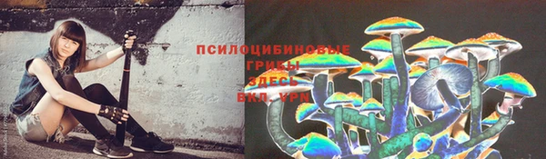 тгк Балахна