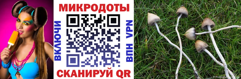 Галлюциногенные грибы мицелий  Дагестанские Огни 