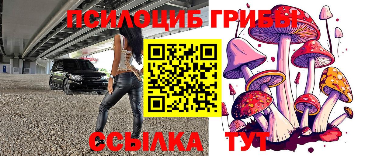Псилоцибиновые грибы мухоморы  Вход с VPN  Дагестанские Огни  Псилоцибиновые грибы мицелий 