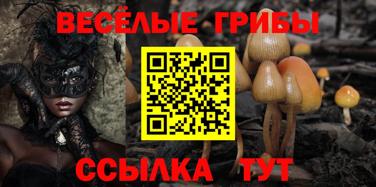 Галлюциногенные грибы прущие грибы Дагестанские Огни